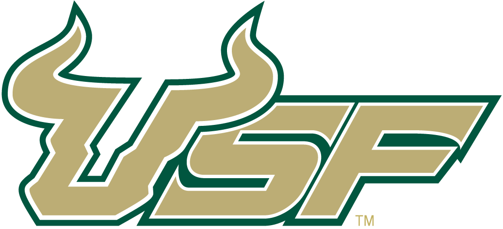South Florida Bulls 2003-Pres Wordmark Logo v5 diy iron on heat transfer